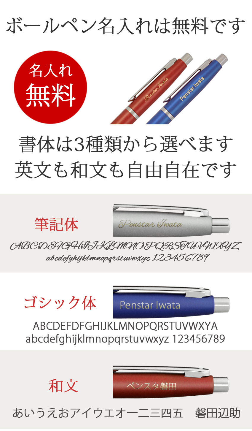 就職祝い 栄転祝いに贈る ボールペンとポケットノートのギフトセット シェーファー Vfm ボールペン ハードカバーポケットノート